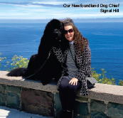 Helen - Your Tour Guide
